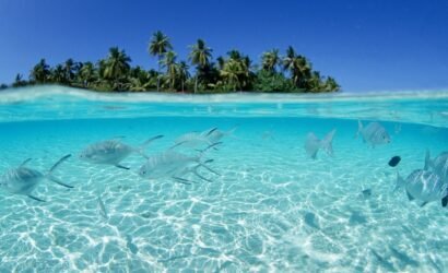 Wisata Tour Kepulauan Selayar