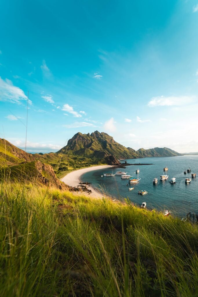 Explore the breathtaking landscape and marine life of Padar Island in East Nusa Tenggara, Indonesia.